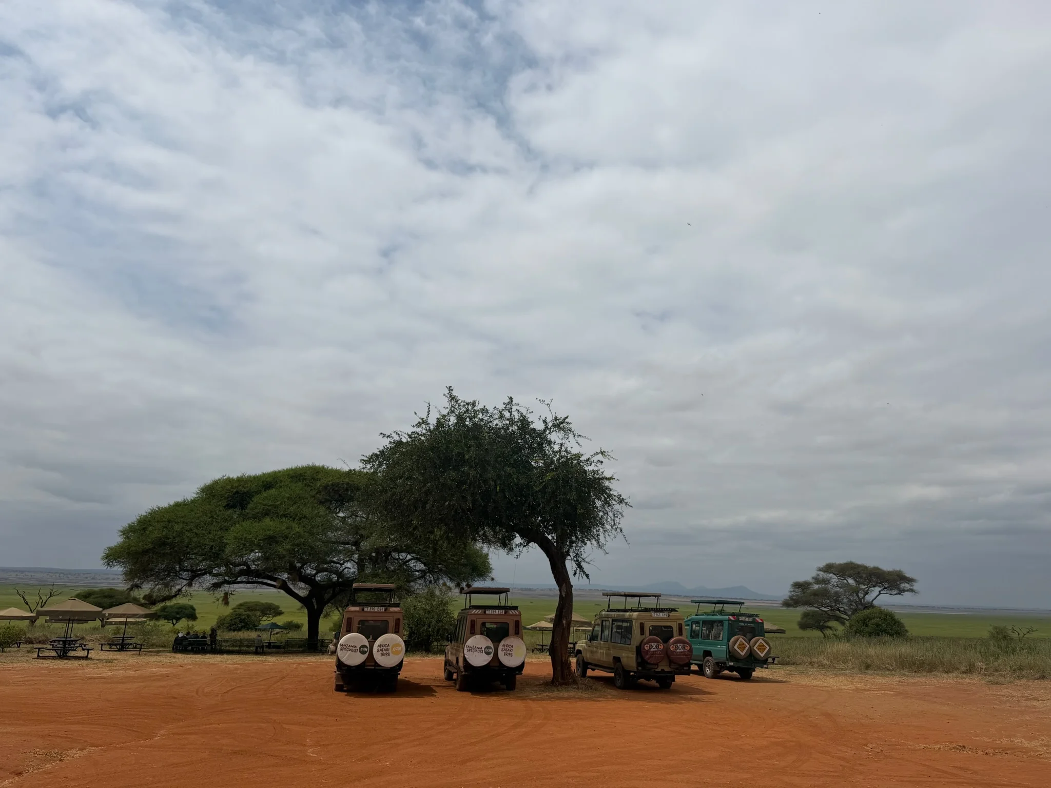 Safari vehicles parked beneath acacia trees overlooking an open Tanzanian landscape