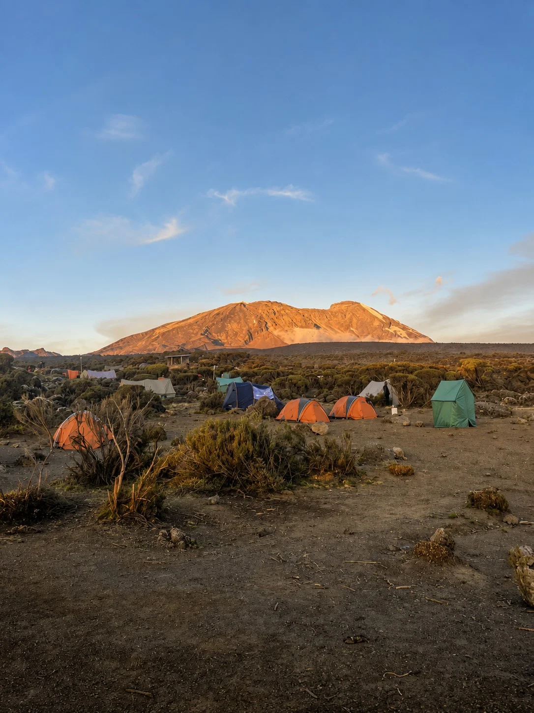 Kilimanjaro illuminated orange at dawn