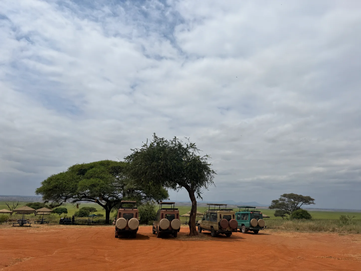 Safari vehicles parked beneath acacia trees overlooking an open Tanzanian landscape