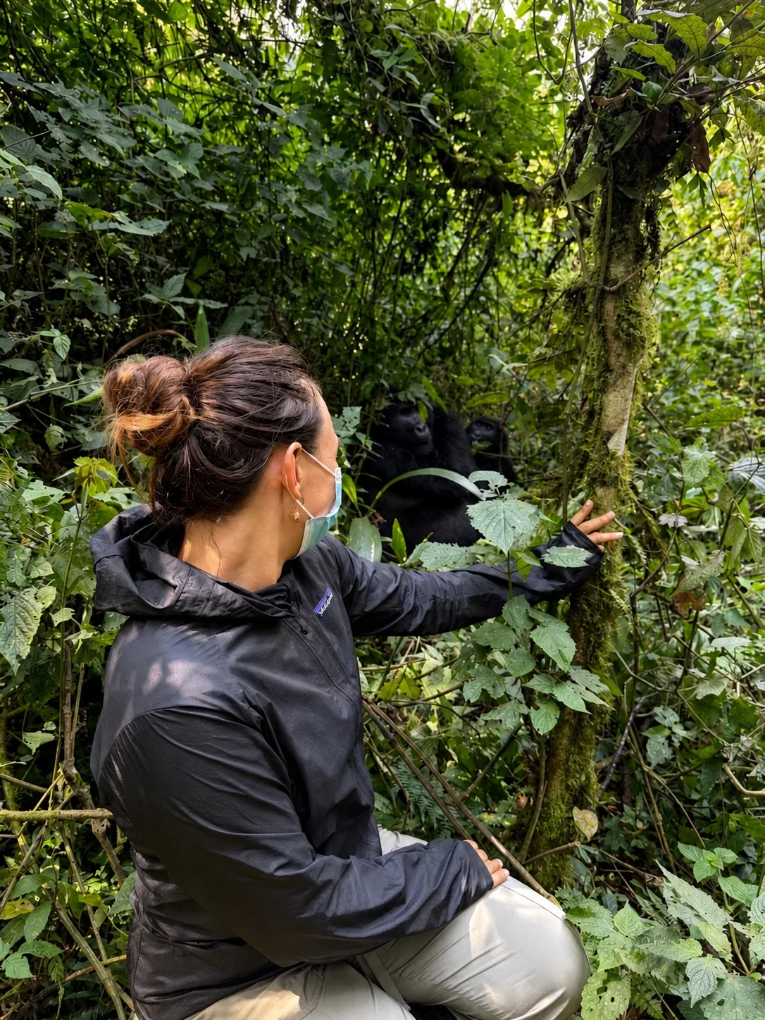 A traveler kneeling quietly in the Ugandan forest with two mountain gorillas visible among the leaves