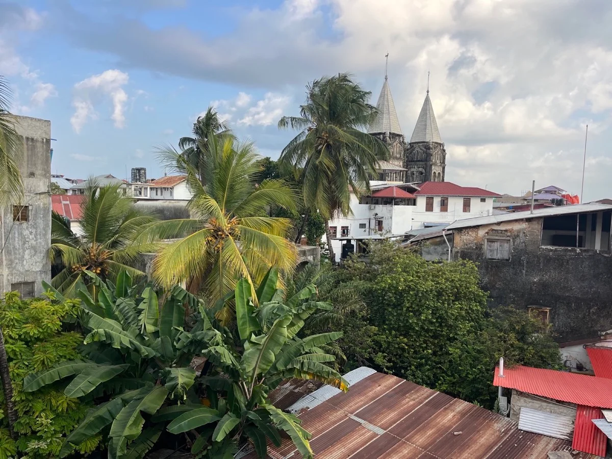 A rooftop view across palms and historic Stone Town buildings toward cathedral spires